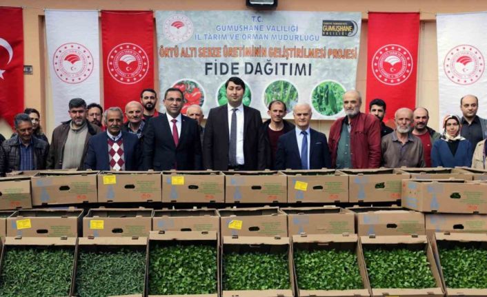 Gümüşhane’den 195 bin sebze fidesi toprakla buluşacak