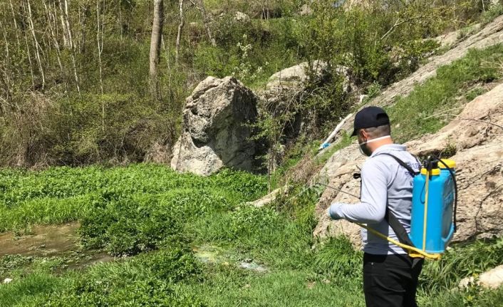 Hakkari’de sineklere karşı ilaçlama çalışmaları