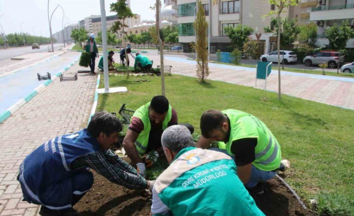 Haliliye’de çiçekler toprakla buluşuyor