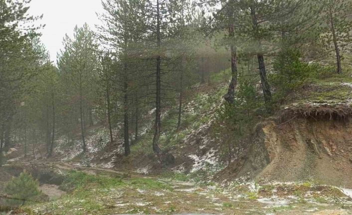 İskilip’te sağanak yağış ve dolu etkili oldu