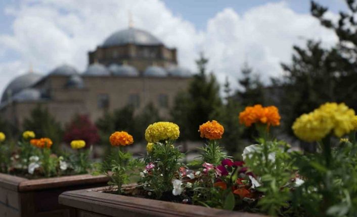 Kars Belediyesi’nden çevre düzenlemesi