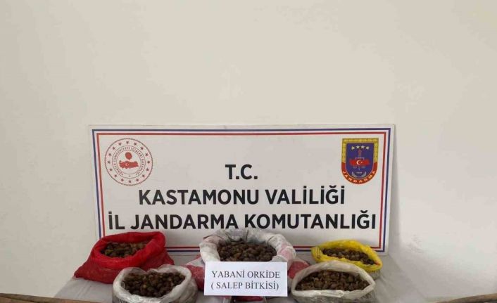 Kastamonu’da 22,5 kilogram sahleple yakalanan 3 kişiye ceza