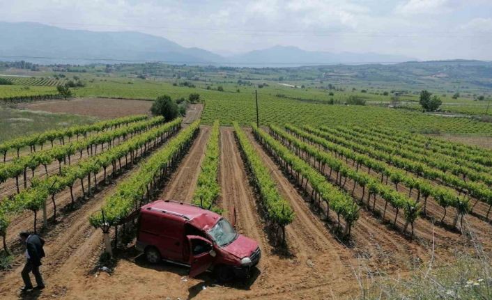 Kontrolden çıkan ticari araç üzüm bağına düştü: 2 yaralı