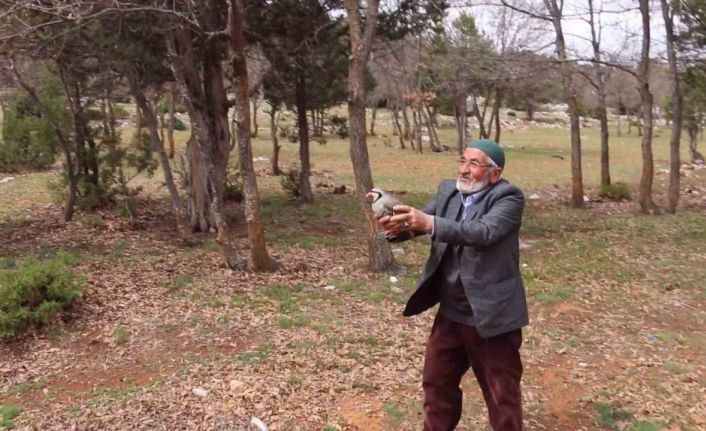 Konya’da kınalı keklikler doğaya salındı