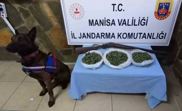 Manisa Jandarması uyuşturucu tacirlerine göz açtırmıyor