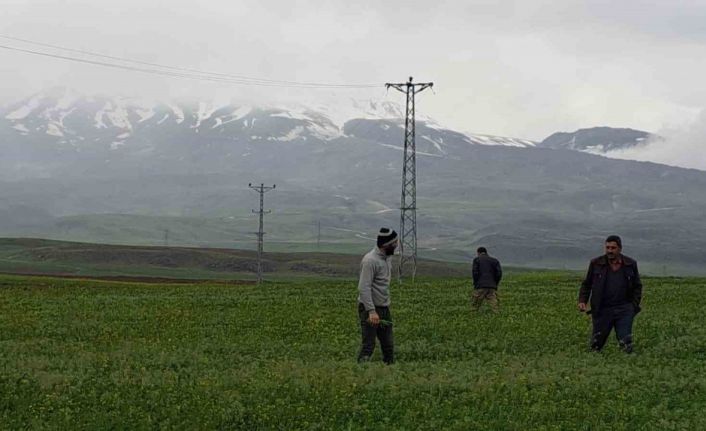 Mayıs ayında kar yağdı, vatandaş yeniden soba kurdu