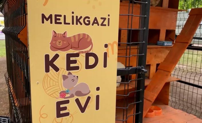 Melikgazi sokaklardaki can dostlar için kedi evleri yaptı