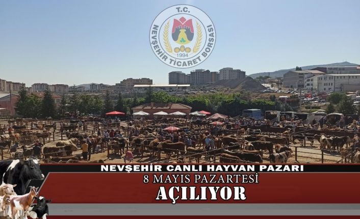 Nevşehir Canlı Hayvan Pazarı yeniden açılıyor