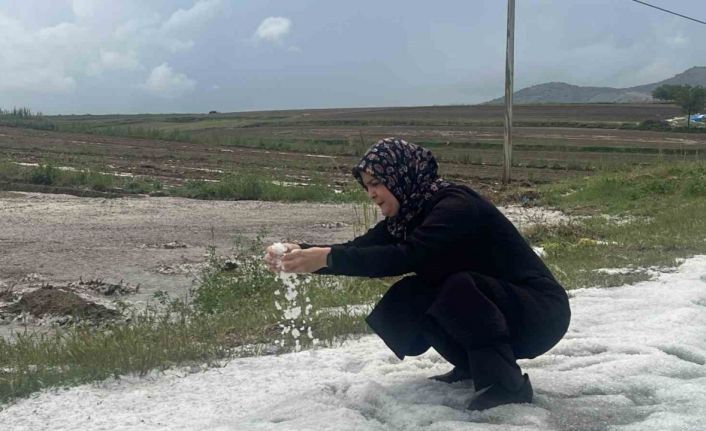 Nevşehir’de 30 bin dekar ekili arazi doludan zarar gördü