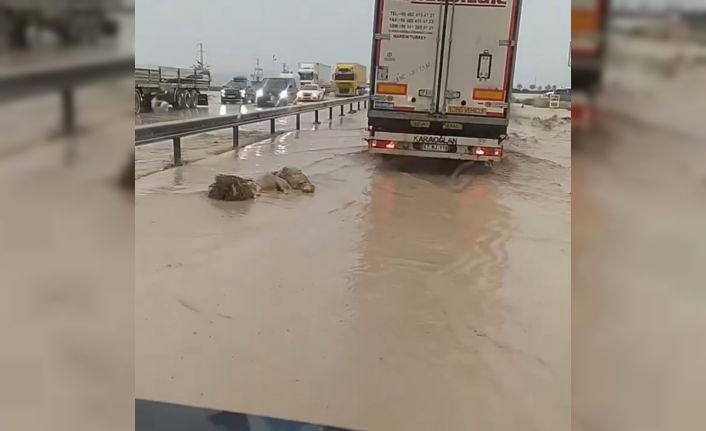 Niğde’de etkili olan dolu tarım arazilerini vurdu