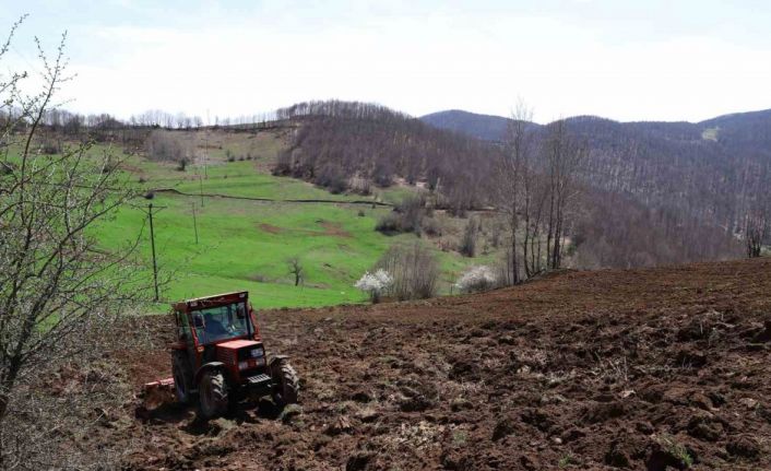 Ordu’da tarım atağı