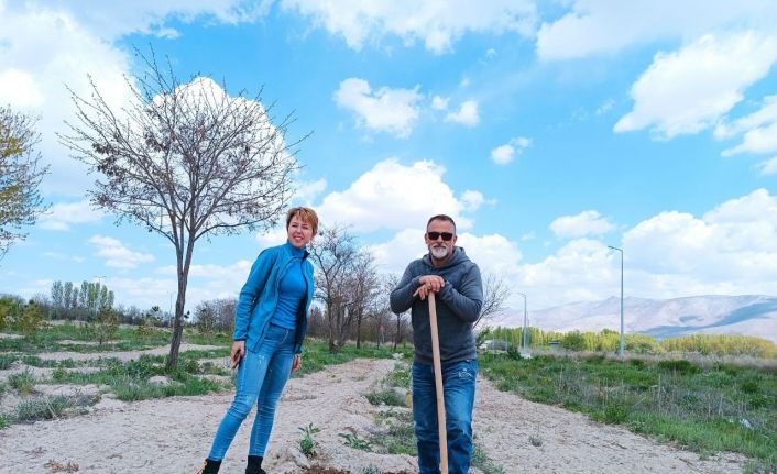 Sahipsiz hayvanlar için fidan diktiler