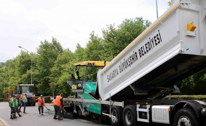 Sakarya Büyükşehir şehrin girişinde yenileme işlemlerini başlattı