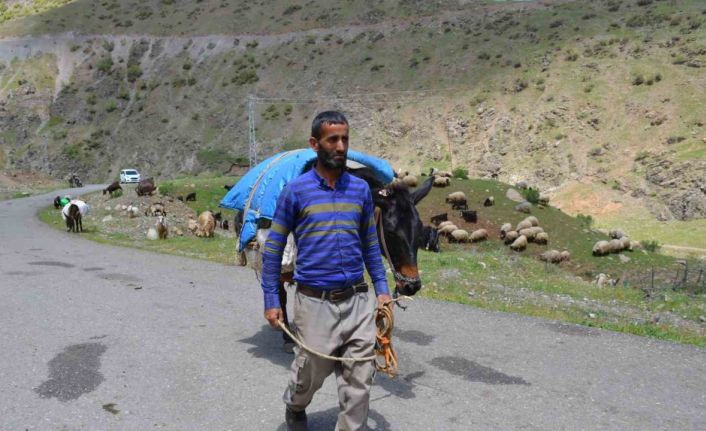 Şırnak’ta göçerler yaylaya ulaştı