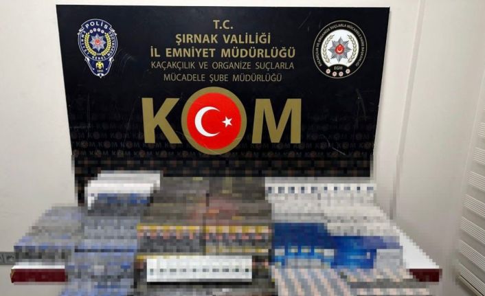 Şırnak’ta terörün finans kaynaklarına operasyon: 59 gözaltı
