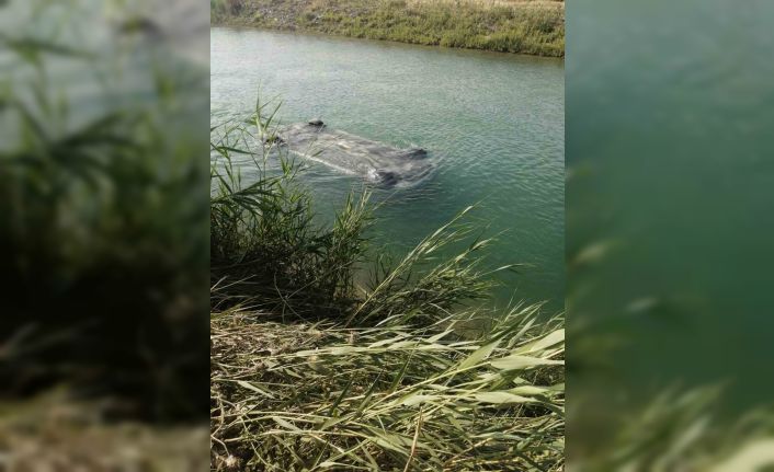 Sulama kanalına düşen otomobilden 3 erkek cesedi çıktı