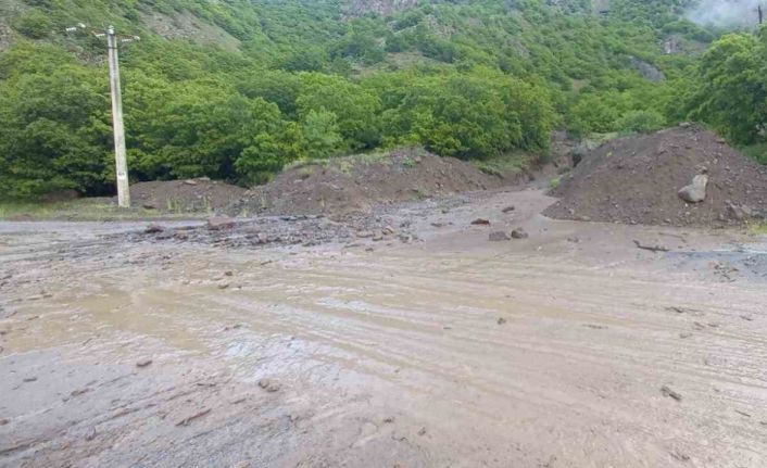 Tunceli’de sağanak yağış hayatı olumsuz etkiledi