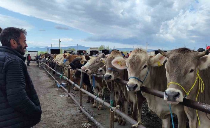 Türkiye’nin en büyük hayvan pazarı yeniden açıldı