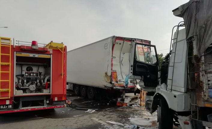 Yola çıkan yavru köpeği kurtarmak isterken canından oldu