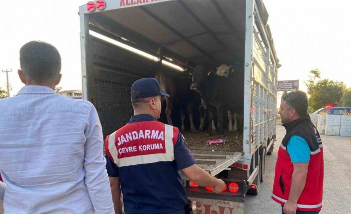 Aksaray’da sivil jandarmalar kurban teyakkuzunda