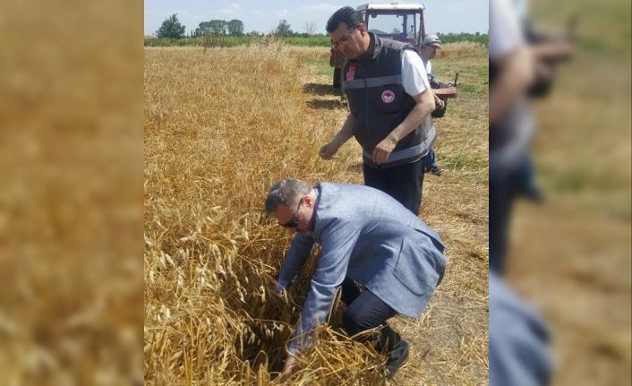 Babaeski’de tarla günü