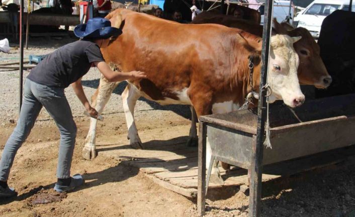 Bayram yaklaştı pazarlıklar kızıştı