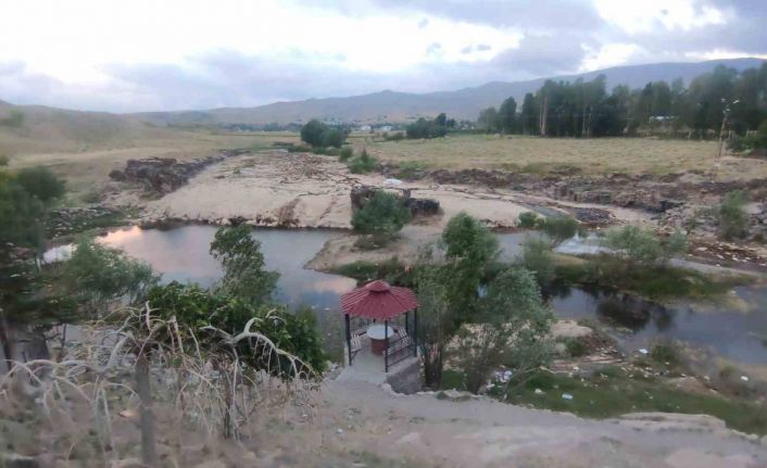 Bendimahi Çayı kurudu, yavru inci kefalleri mahsur kaldı