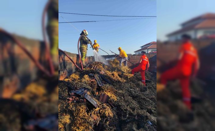 Bursa’da çiftlikte korkutan yangın