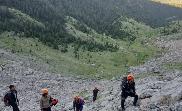 Dağlık alanda kayalıklarda mahsur kalan keçilere kurtarma operasyonu