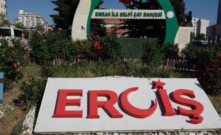Erciş’te il olma heyecanı