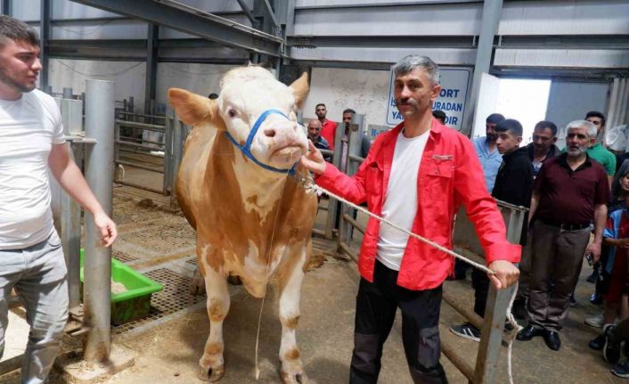 Erzurum’da pazarın gözdesi; Şahdadaş