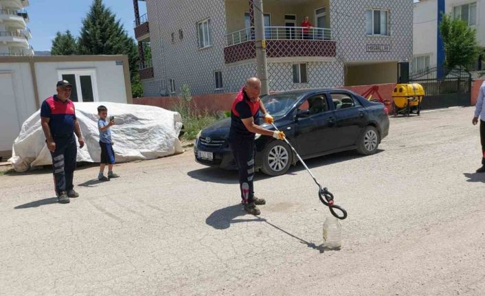 Evin bahçesine giren yılan yakalandı