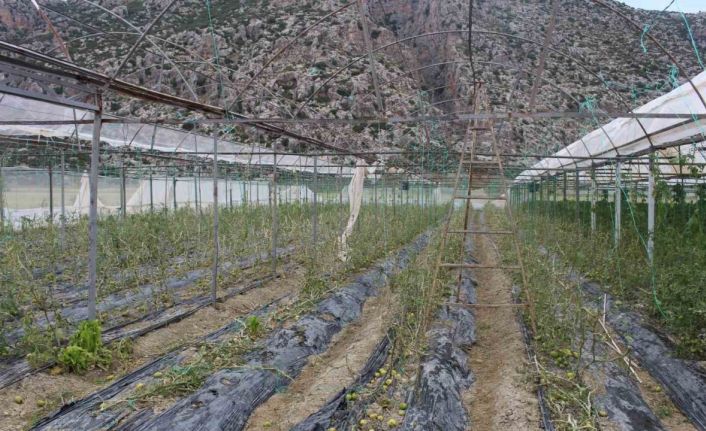 Hortum ve dolunun vurduğu üreticiye sera naylonu desteği