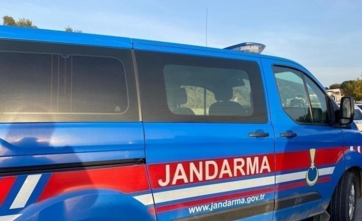 Jandarma ekipleri 23 olaya suçüstü müdahale etti