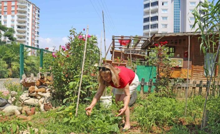 Kanser hastası kadın, hobi bahçesiyle hayata tutundu