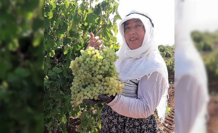 Karaciğer nakli yapılan kadın evinde ölü bulundu