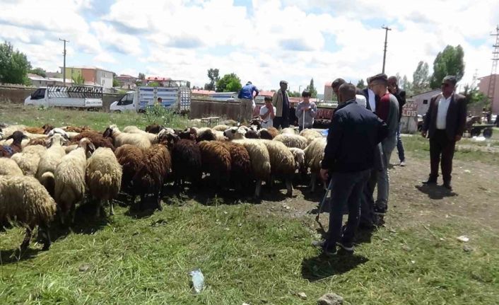 Kars’ta kurbanlık çok, alan yok