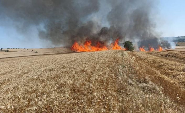 Keşan’da 30 dönüm buğday ekili arazi kül oldu