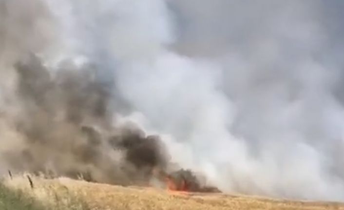 Kırklareli’de 90 dönümlük buğday tarlası küle döndü