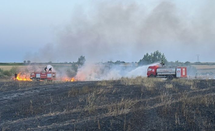 Kırklareli’nde yangın: 20 dönüm buğday küle döndü