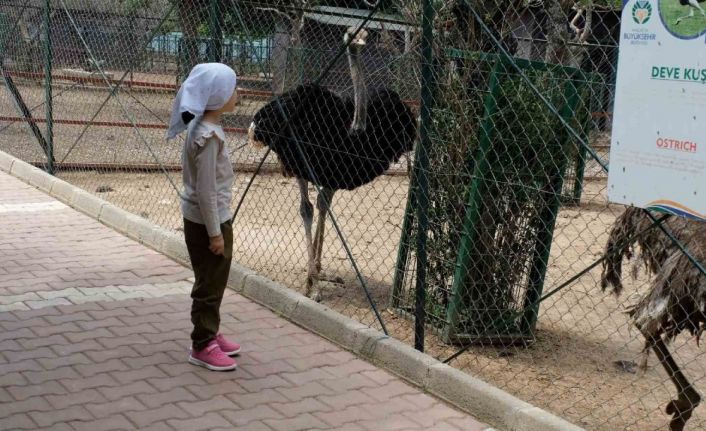 Kurban Bayramı’nda Hayvanat Bahçesi öğrencilere ücretsiz olacak