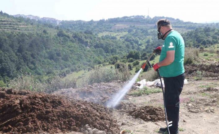 Kurban pazar yerleri ilaçlanıyor