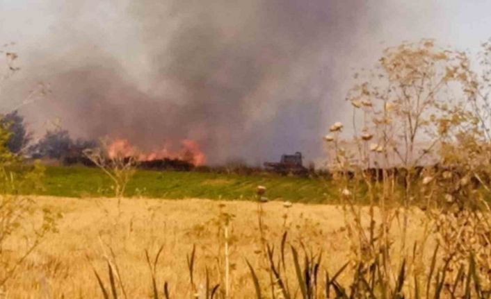 Lüleburgaz’da tarla yangını