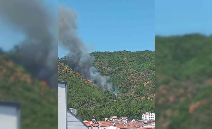 Marmaris’te orman yangını
