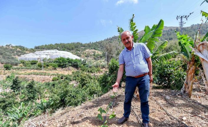 Mersin’de üreticilere passiflora fidesi desteği