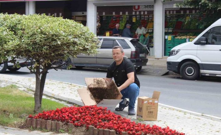 Oğul arılar tedirgin etti