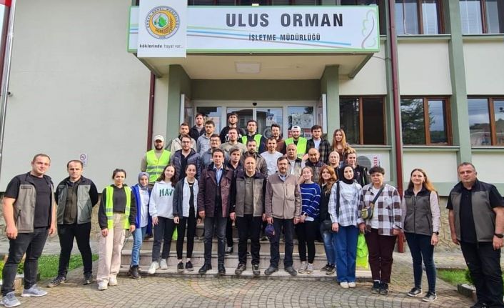Orman mühendisi adayları yerinde eğitim alıyor