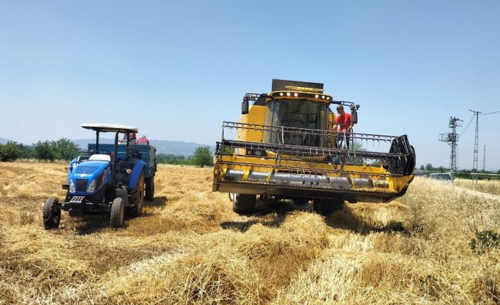Osmaniye’de buğday alım fiyatı ve verimi çiftçinin yüzünü güldürdü
