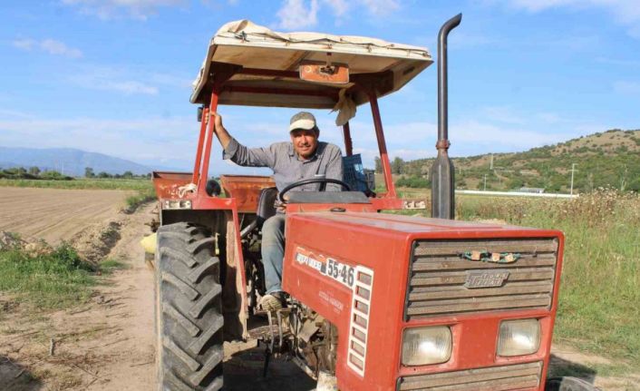 Pamuk ekimleri yağmur engeline takıldı
