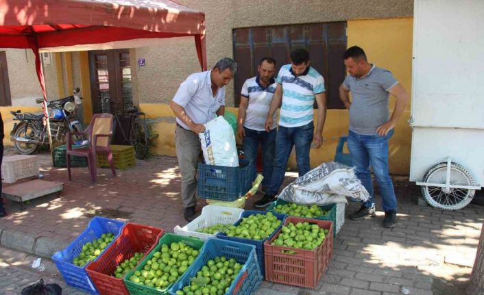 Pazarda sinekli meyvenin kilosu 40 TL’den alıcı buluyor